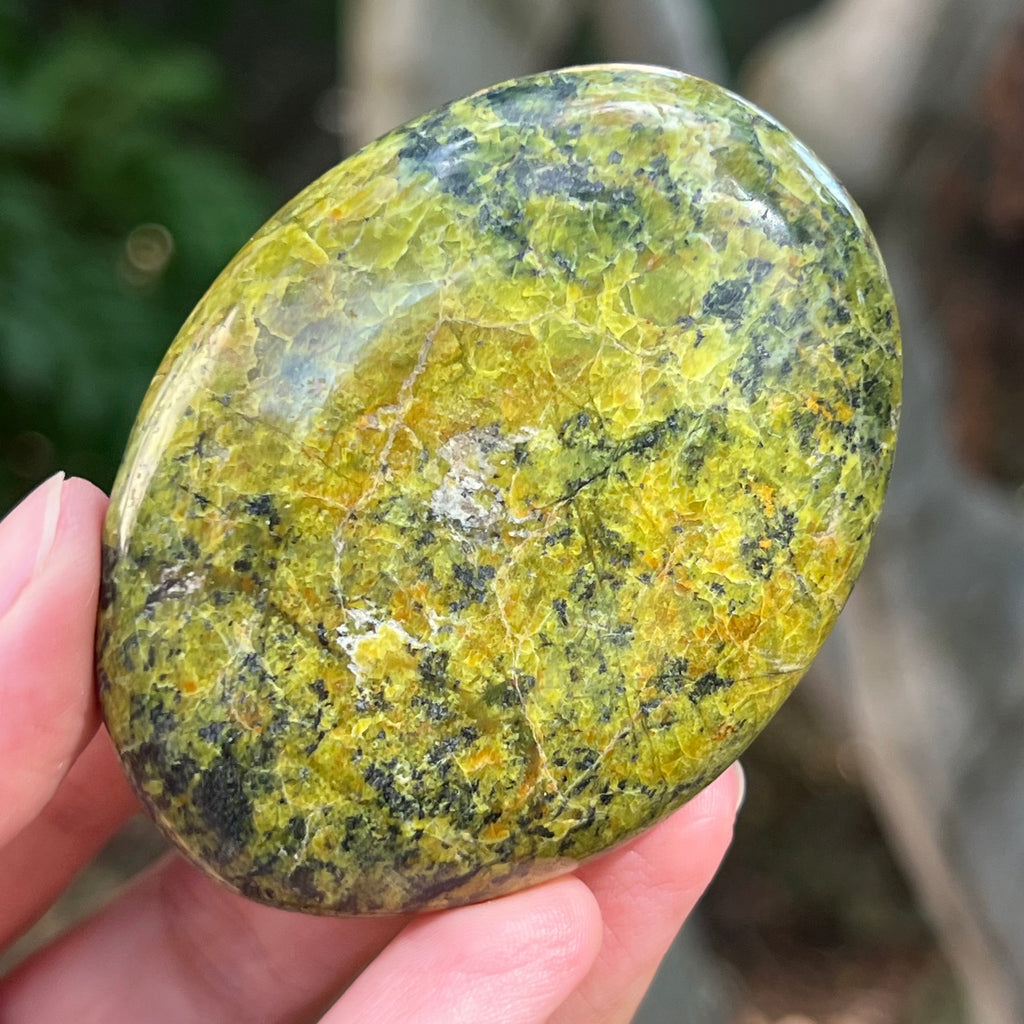 Opal verde palmstone m10, pietre semipretioase - druzy.ro 1 