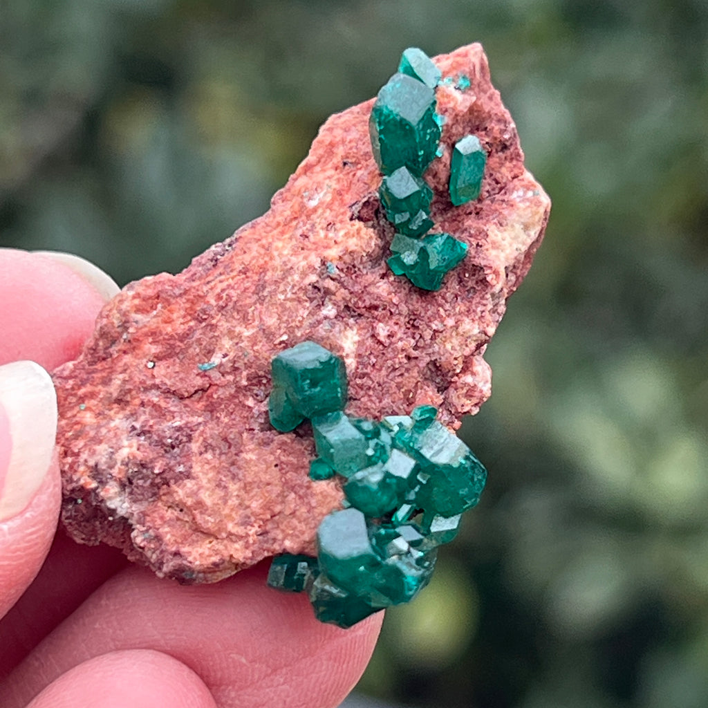 Dioptaz cluster din Congo model 14, pietre semipretioase - druzy.ro 1 