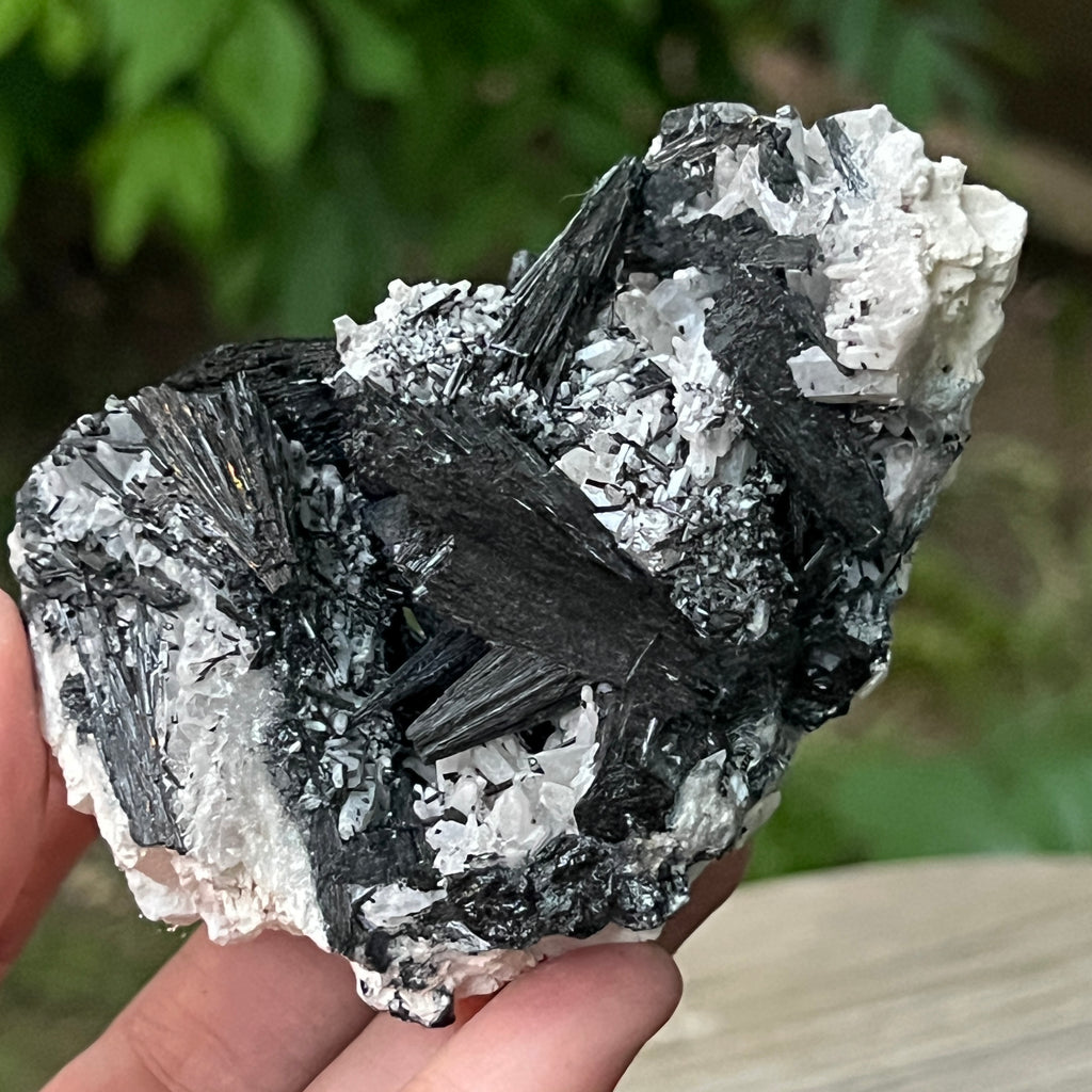 Cluster turmalina neagra model 9 din Erongo, Namibia, pietre semipretioase - druzy.ro 1 