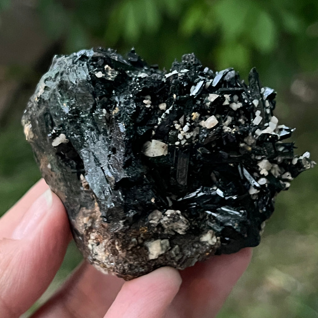 Cluster turmalina neagra model 3 din Erongo, Namibia, pietre semipretioase - druzy.ro 10 