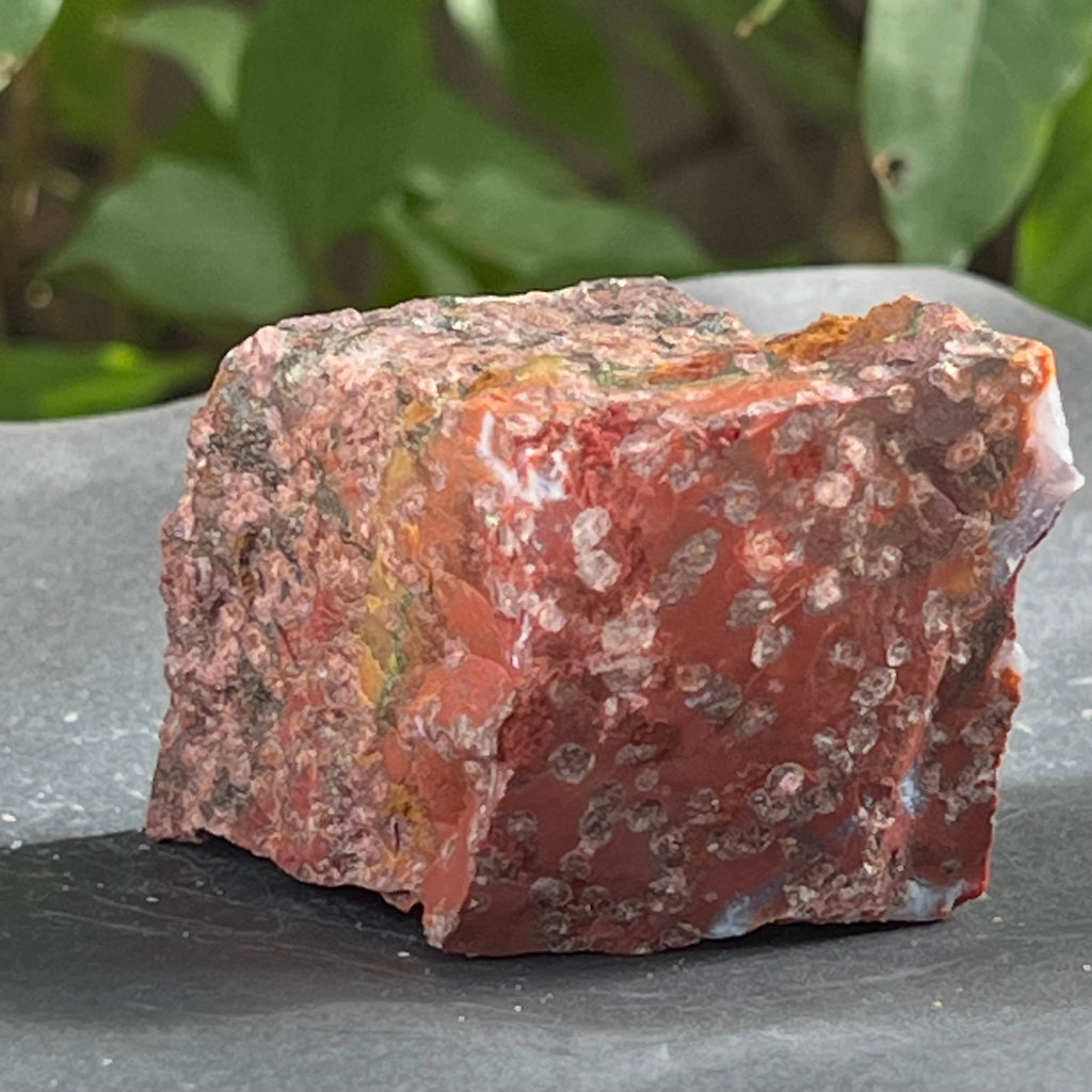 Sardonix India piatra bruta m17, pietre semipretioase - druzy.ro 3 