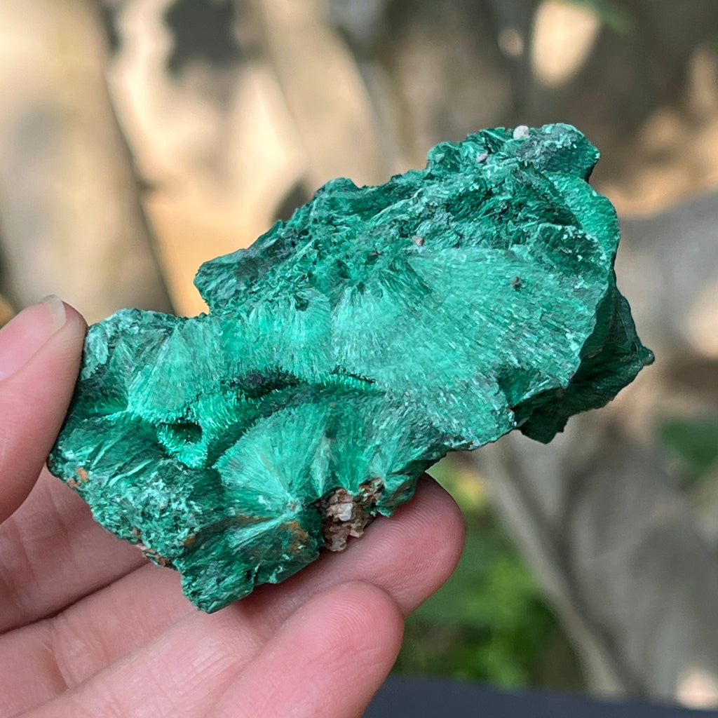 Malachit matasos piatra bruta m6, pietre semipretioase - druzy.ro 5 