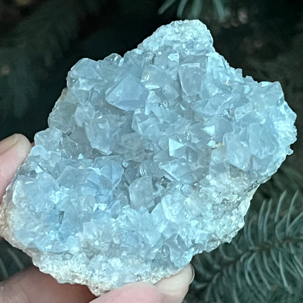 Celestit/celestina cluster m2, pietre semipretioase - druzy.ro 2 