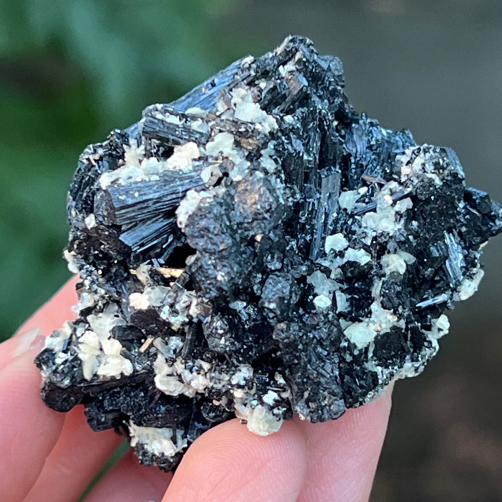 Cluster turmalina neagra cu vermiculita din Erongo m5, pietre semipretioase - druzy.ro 1 