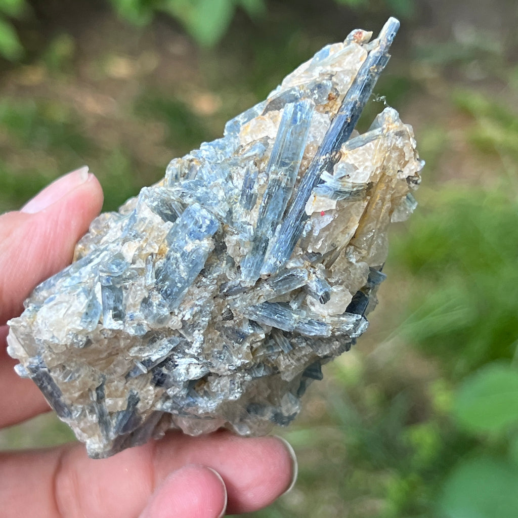 Kianit albastru (Cianit) piatra bruta din Zimbabwe model 12, pietre semipretioase - druzy.ro 1 
