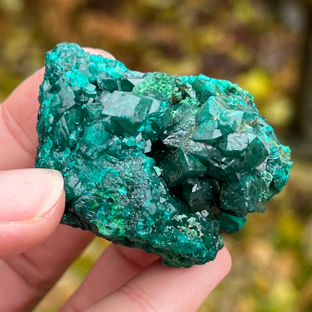 Dioptaz cluster din Congo model 10, pietre semipretioase - druzy.ro 4 