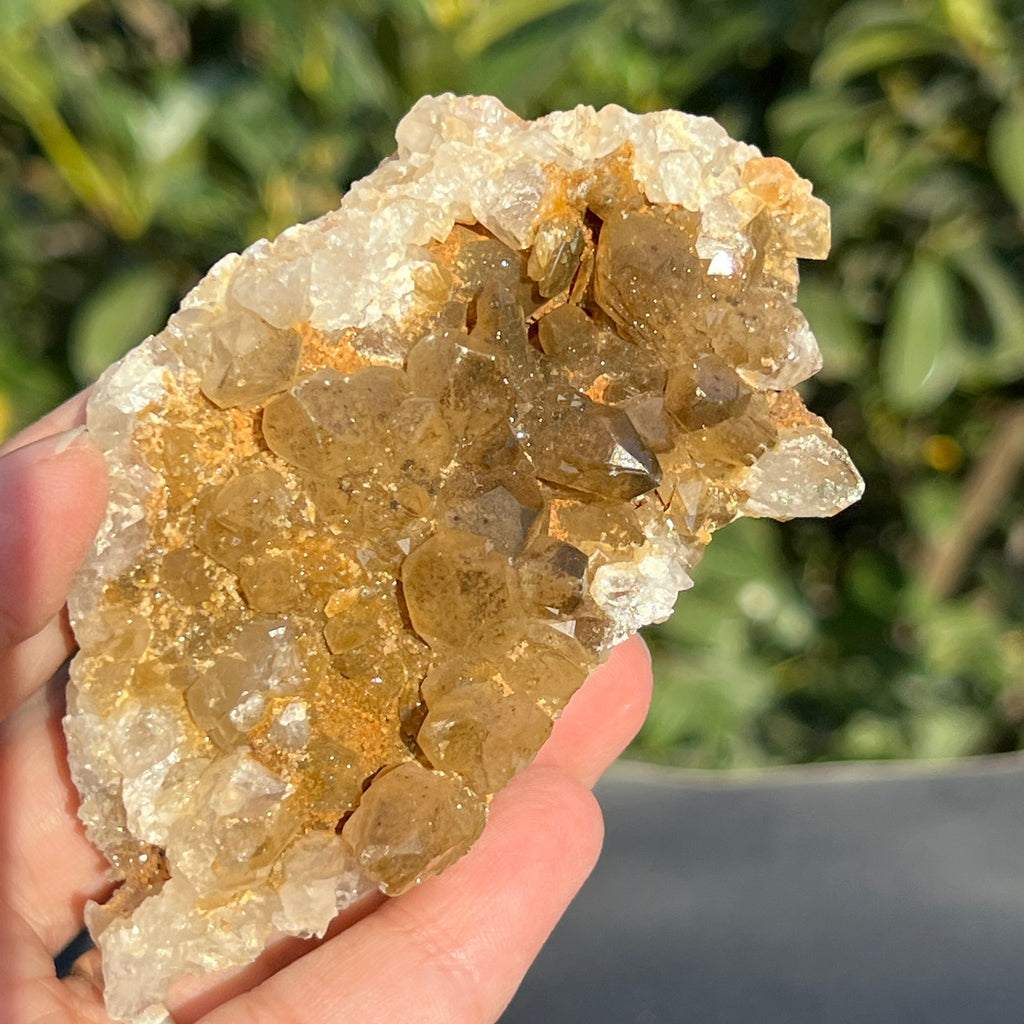 Cluster cuart lamaie Zambia, golden healer model 40, pietre semipretioase - druzy.ro 10 