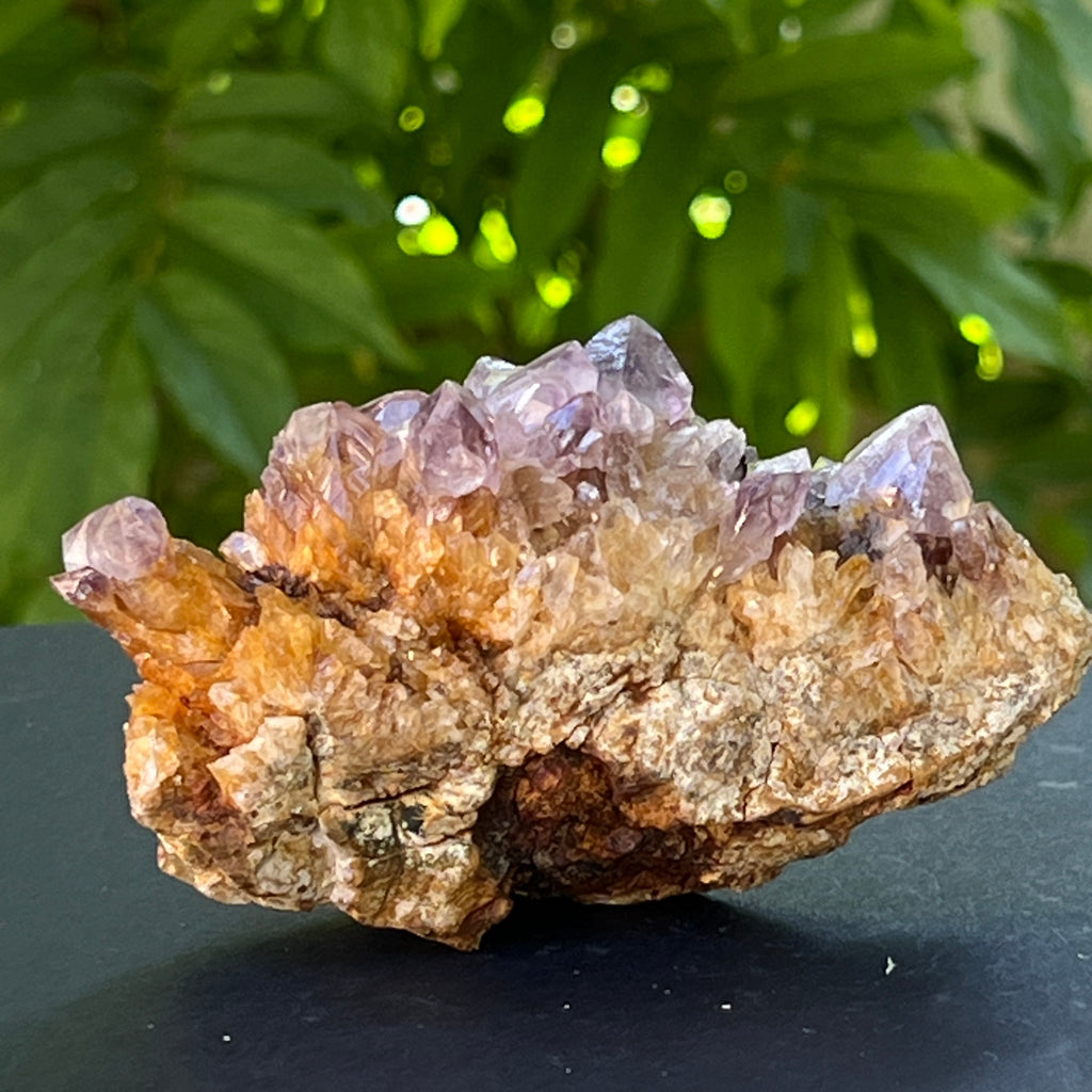 Specimen ametist cuart spirit din Africa de Sud | Model 24, pietre semipretioase - druzy.ro 6 