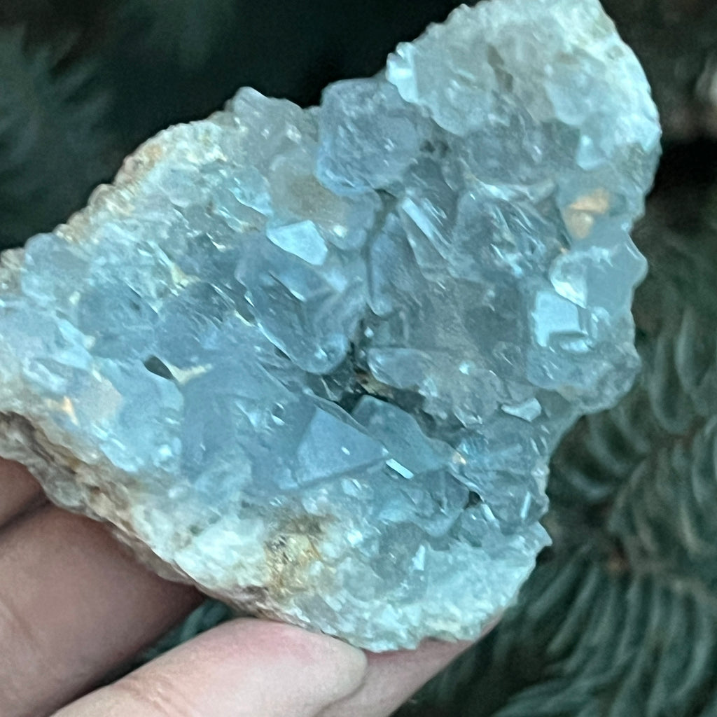 Celestit / celestina cluster m4, pietre semipretioase - druzy.ro 1 