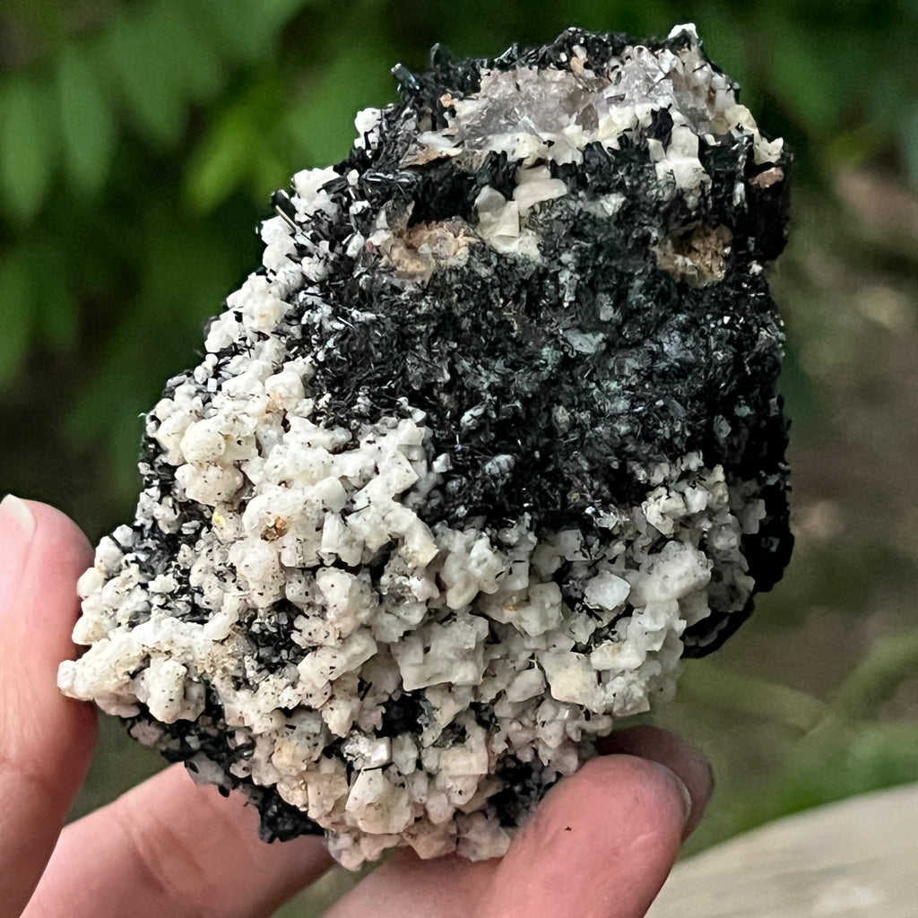 Cluster turmalina neagra model 7 din Erongo, Namibia, pietre semipretioase - druzy.ro 7 
