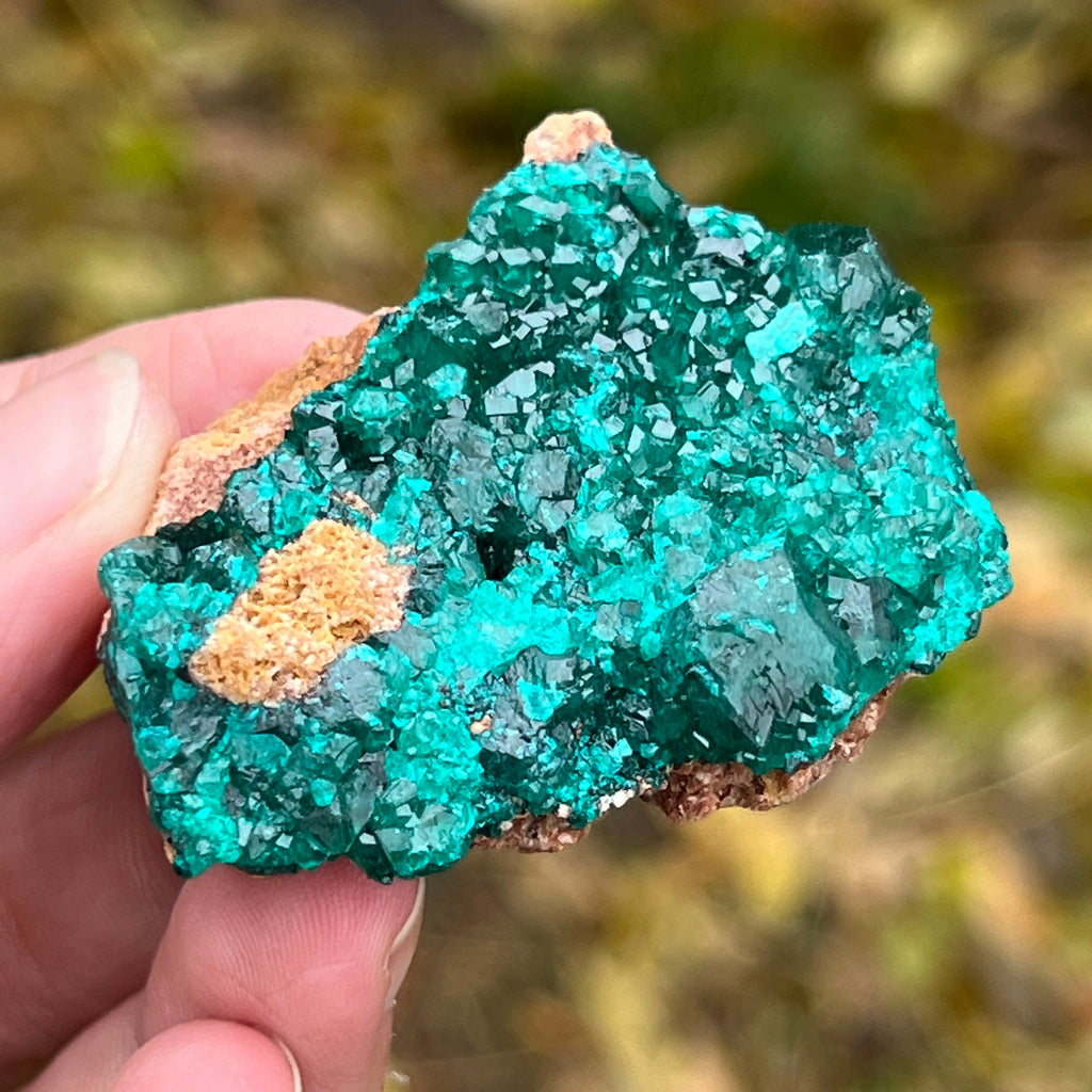 Dioptaz cluster din Congo model 3, pietre semipretioase - druzy.ro 5 