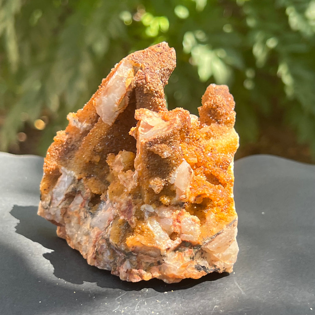 Cluster cuart lamaie, golden healer 4A/4, Africa de Sud, druzy.ro, pietre semipretioase 2