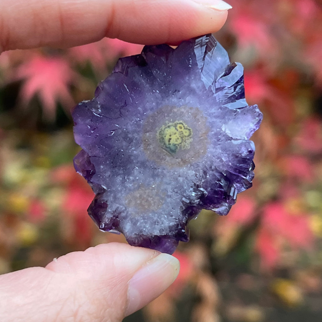 Cluster floare stalacit ametist Urguay model 2, ametist trandafir, calitate +AAA, druzy.ro, cristale 5