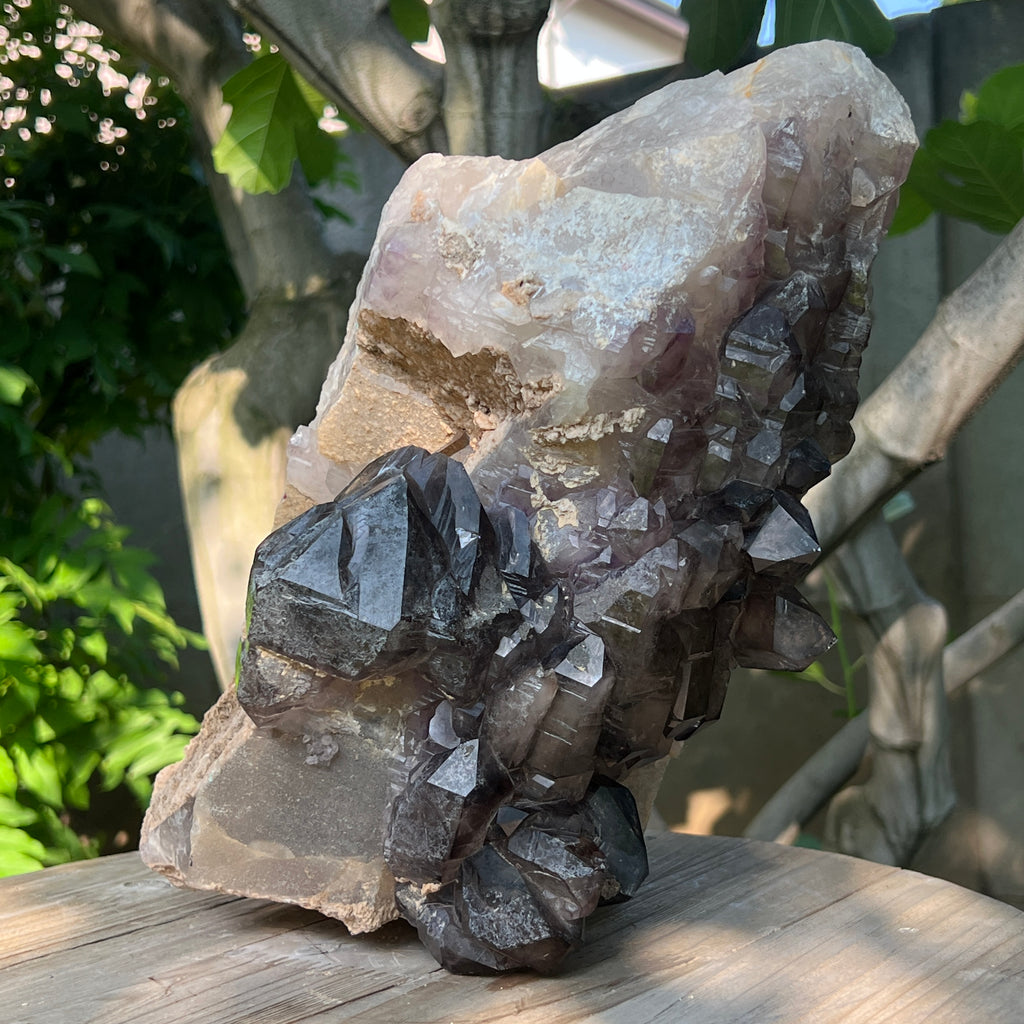 Specimen cluster cuart fumuriu mina Brandberg m8, pietre semipretioase - druzy.ro 2 