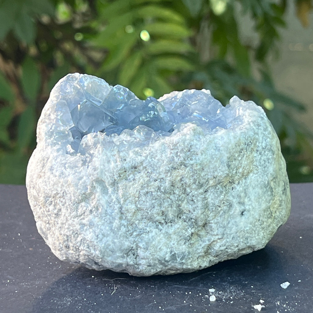 Celestit / celestina cluster m4, pietre semipretioase - druzy.ro 4 