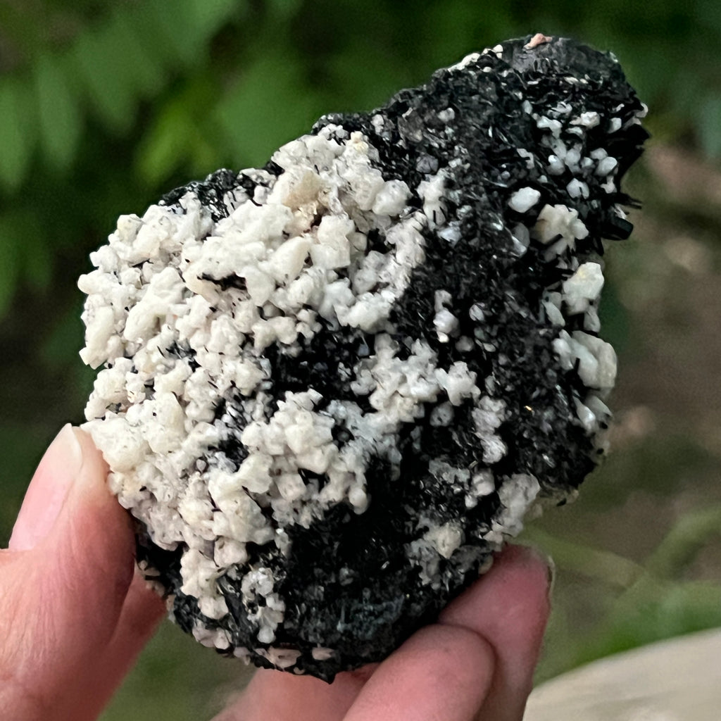Cluster turmalina neagra model 7 din Erongo, Namibia, pietre semipretioase - druzy.ro 3 