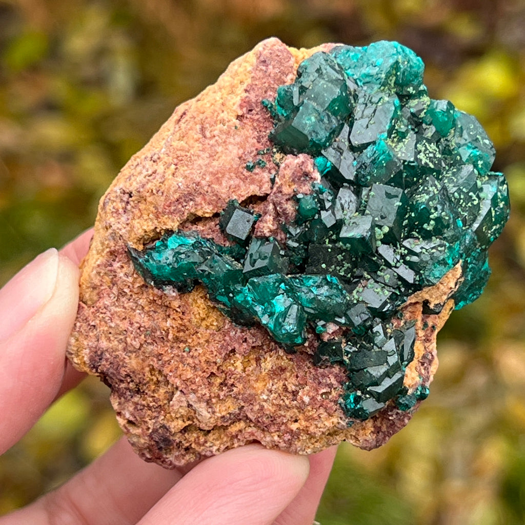 Dioptaz cluster din Congo model 11, pietre semipretioase - druzy.ro 2 