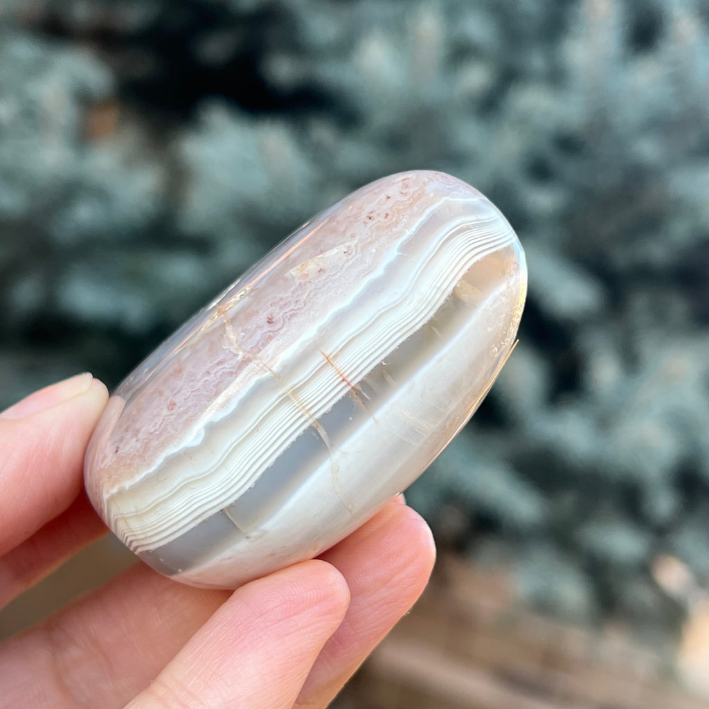 Agat de Botswana palm stone m4A, druzy.ro, cristale 5