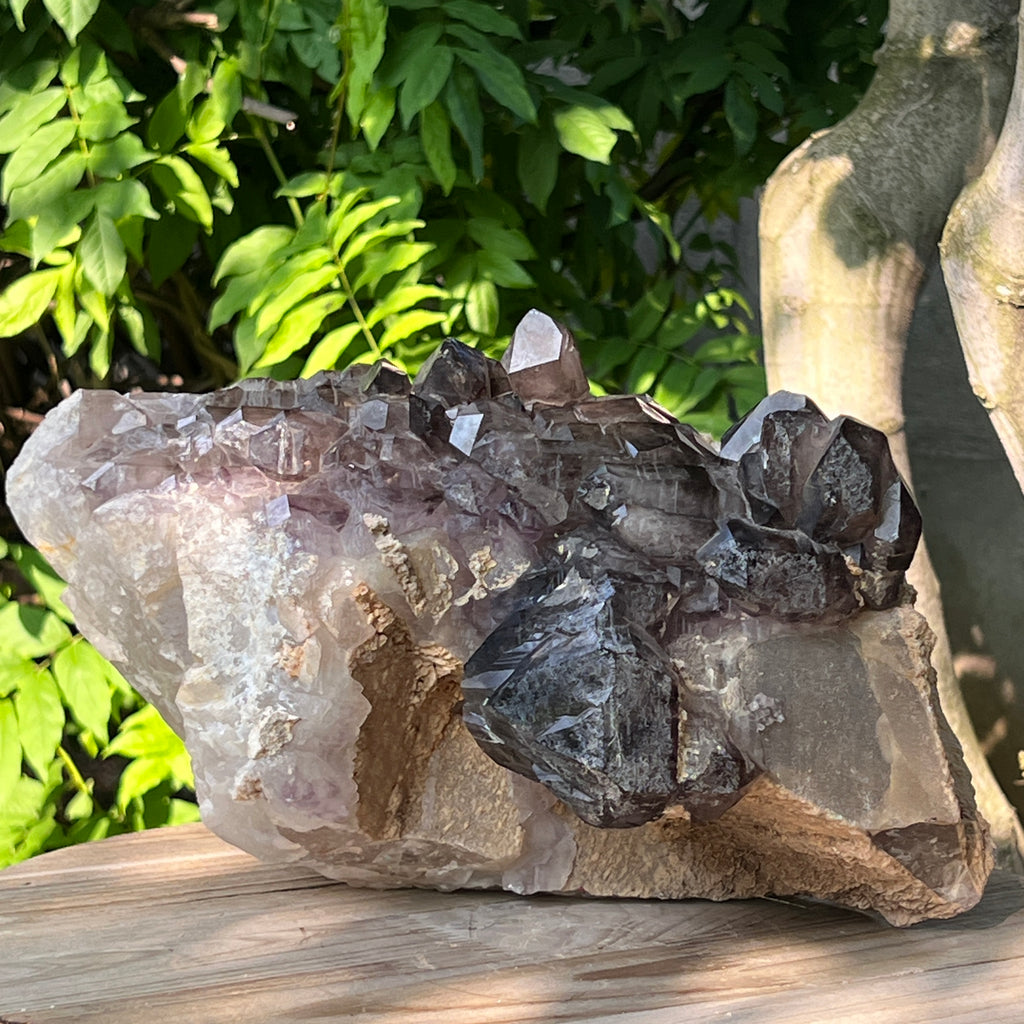 Specimen cluster cuart fumuriu mina Brandberg m8, pietre semipretioase - druzy.ro 8 
