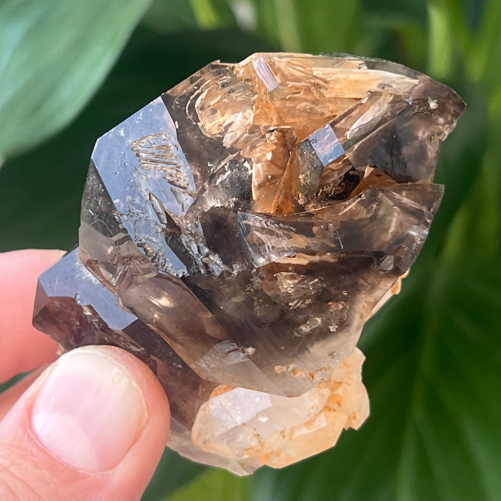 Cuart fumuriu generator/varf mina Brandberg | Model L14, pietre semipretioase - druzy.ro 4 