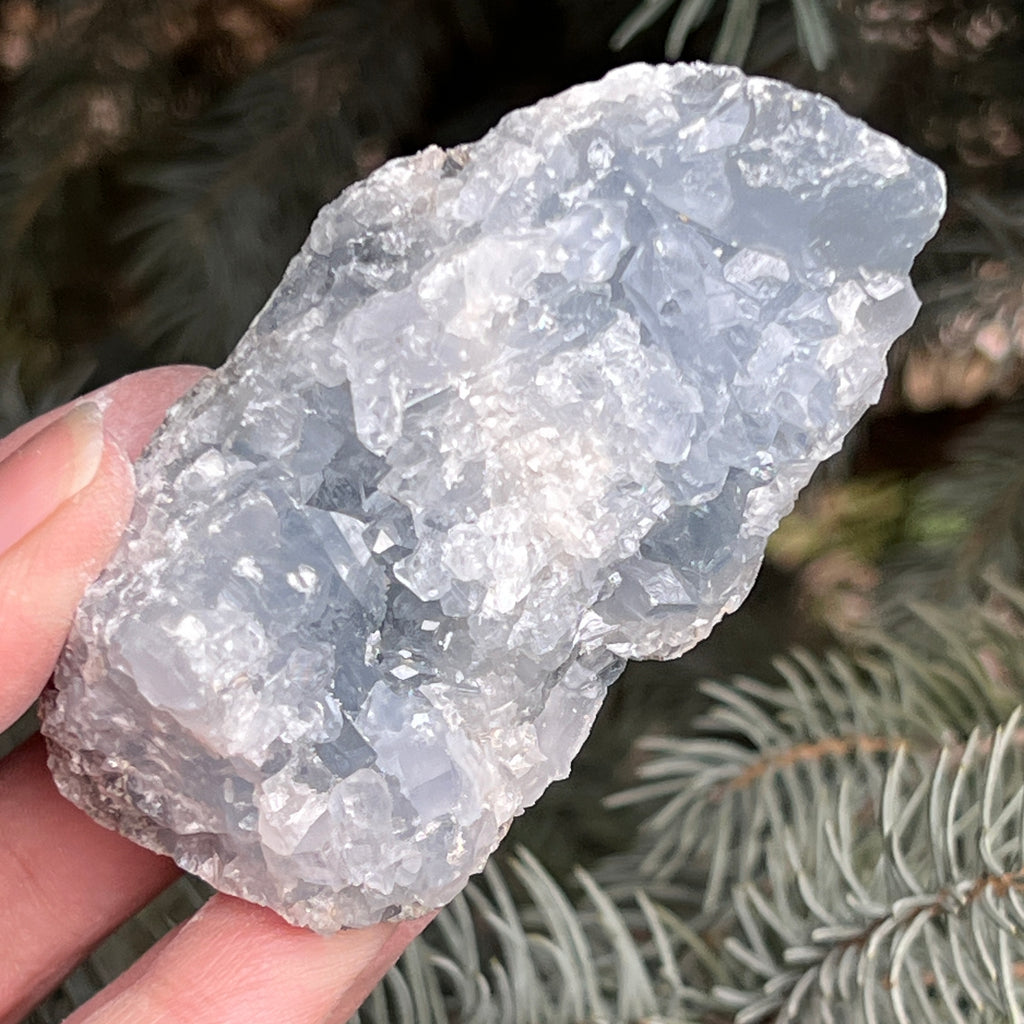 Celestit / celestina cluster m14, pietre semipretioase - druzy.ro 7 