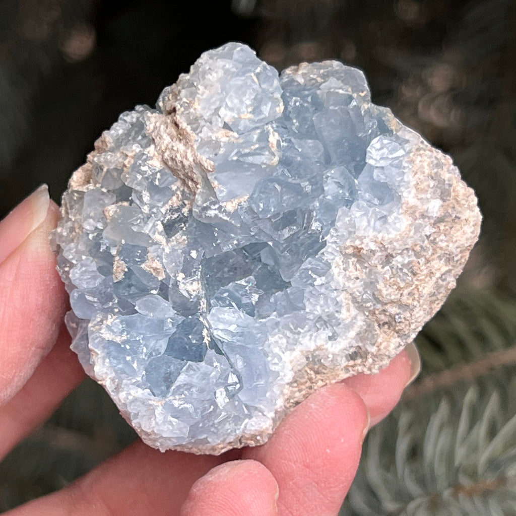 Celestit / celestina cluster m8, pietre semipretioase - druzy.ro 9 