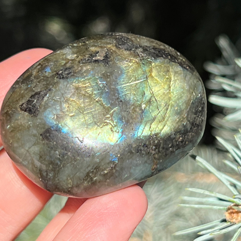 Labradorit palm stone m16, druzy.ro, cristale 2