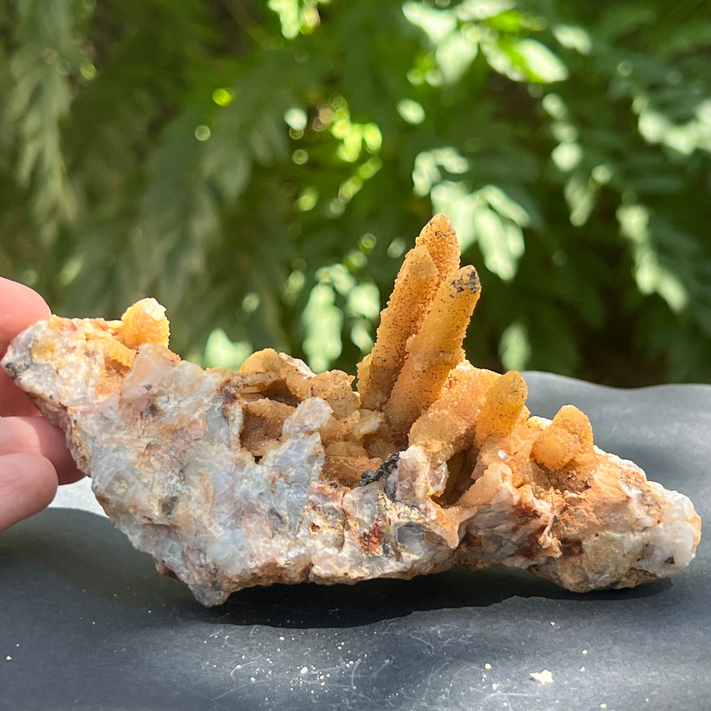 Cluster cuart lamaie, golden healer 4A/3, Africa de Sud, druzy.ro, pietre semipretioase 7