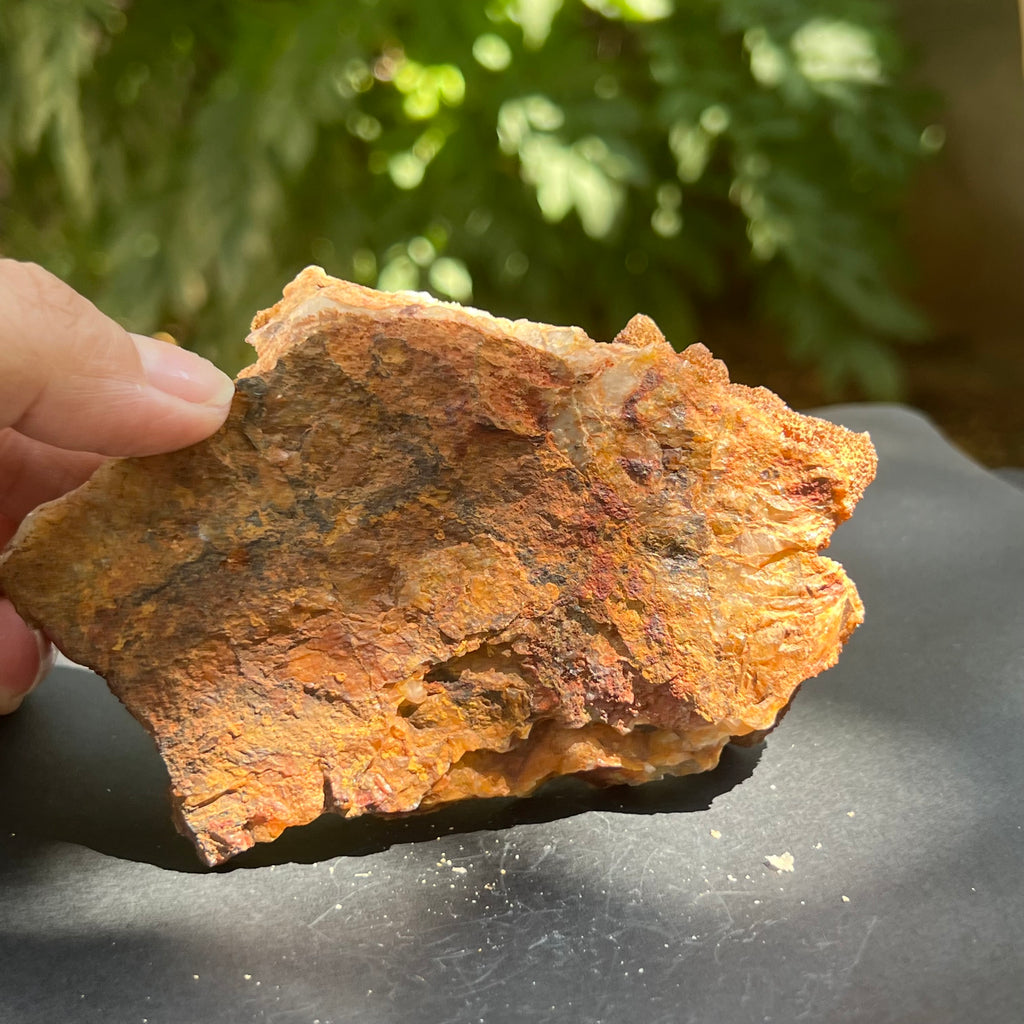 Cluster cuart lamaie, golden healer 4A/2, Africa de Sud, druzy.ro, pietre semipretioase 9