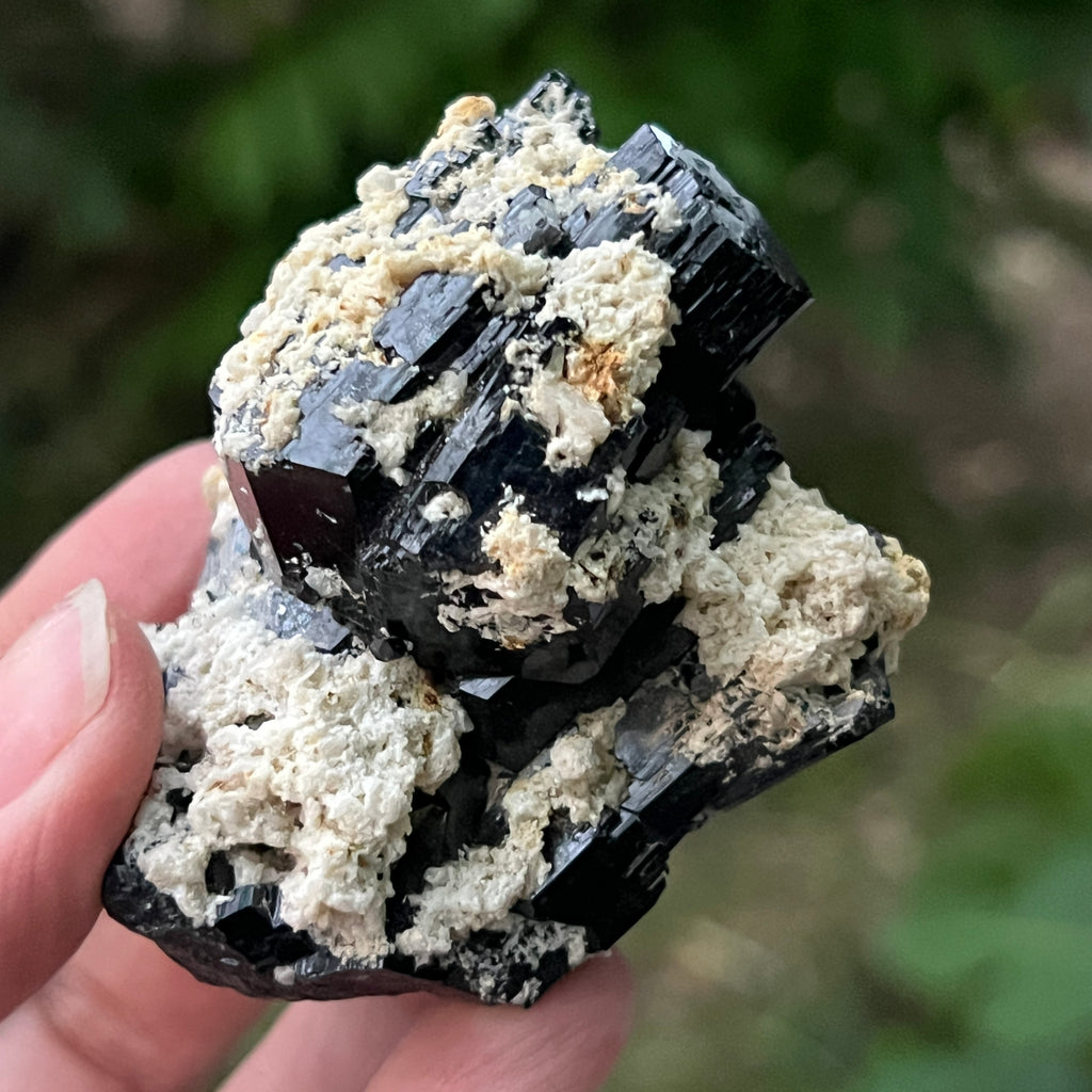 Cluster turmalina neagra model 2 din Erongo, Namibia, pietre semipretioase - druzy.ro 10 