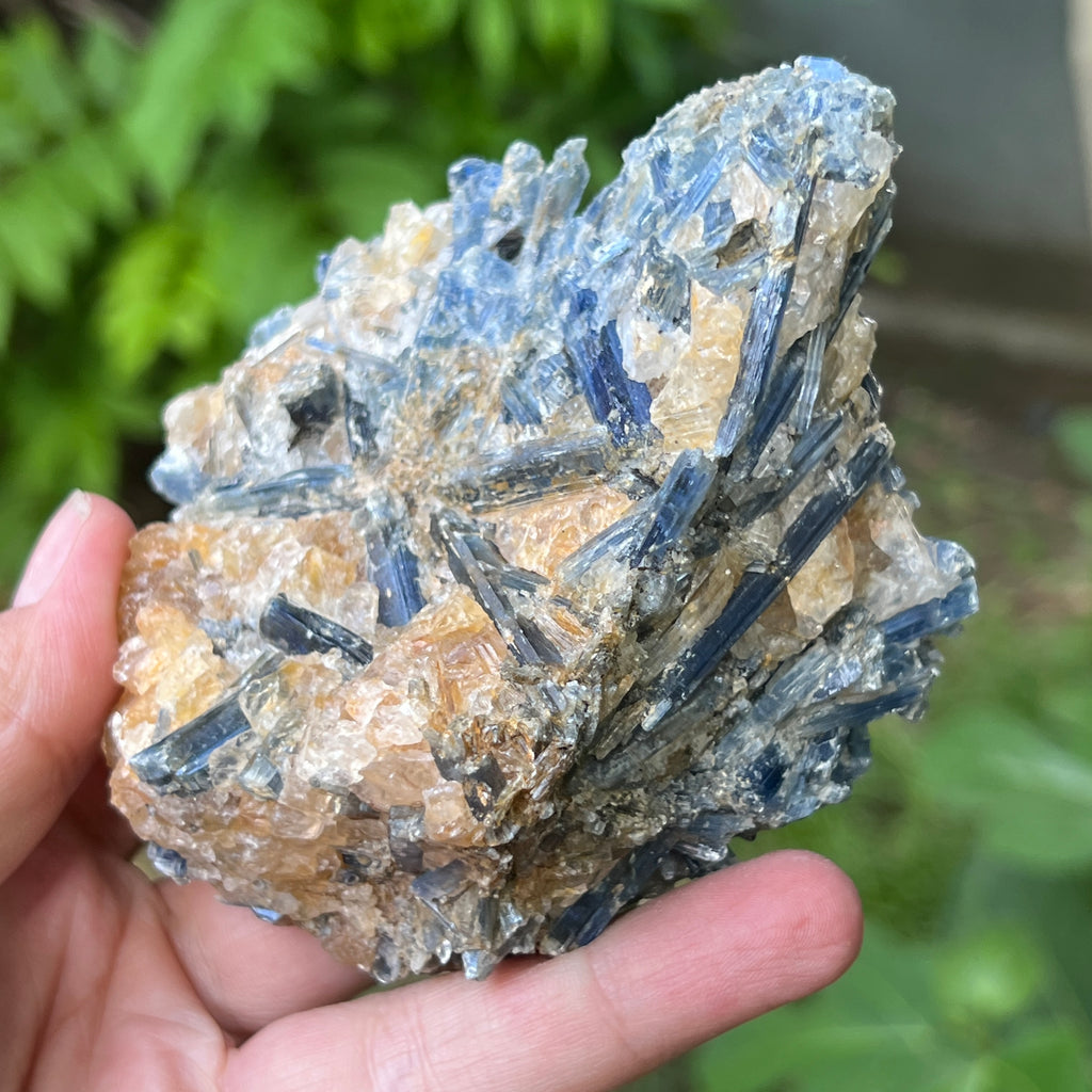 Kianit albastru (Cianit) piatra bruta din Zimbabwe model 15, pietre semipretioase - druzy.ro 1 