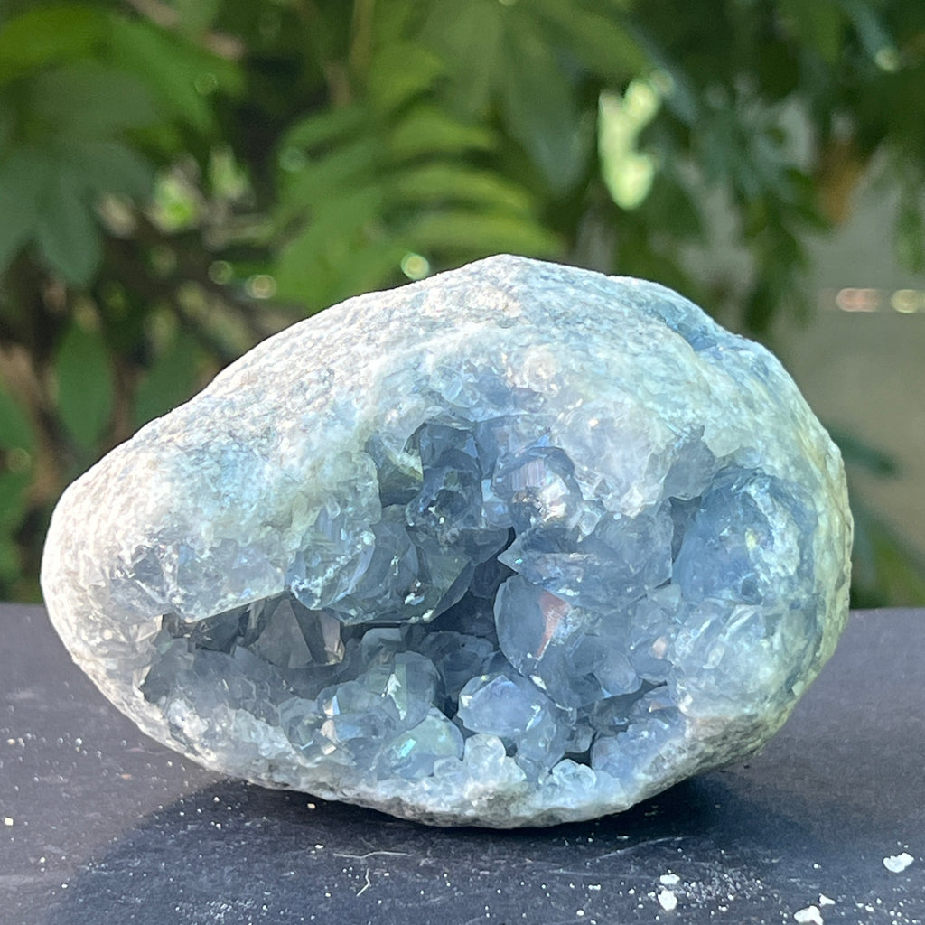 Celestit / celestina cluster m4, pietre semipretioase - druzy.ro 2 