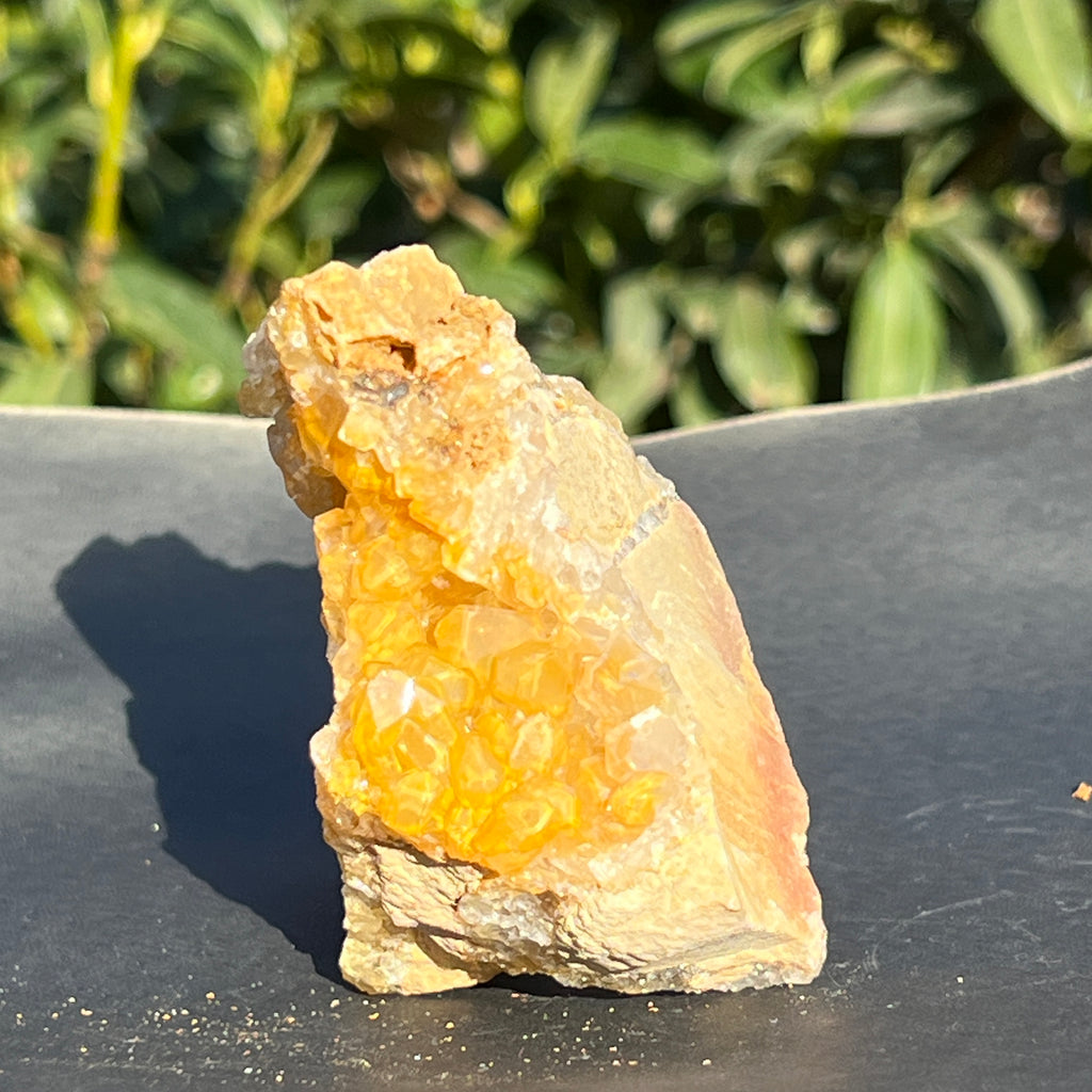 Cluster cuart lamaie Zambia, golden healer model 46, pietre semipretioase - druzy.ro 5 