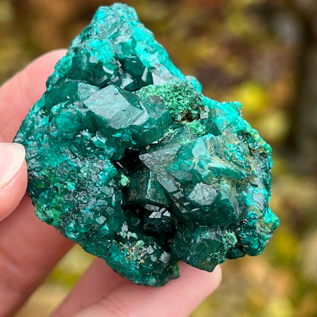 Dioptaz cluster din Congo model 10, pietre semipretioase - druzy.ro 2 