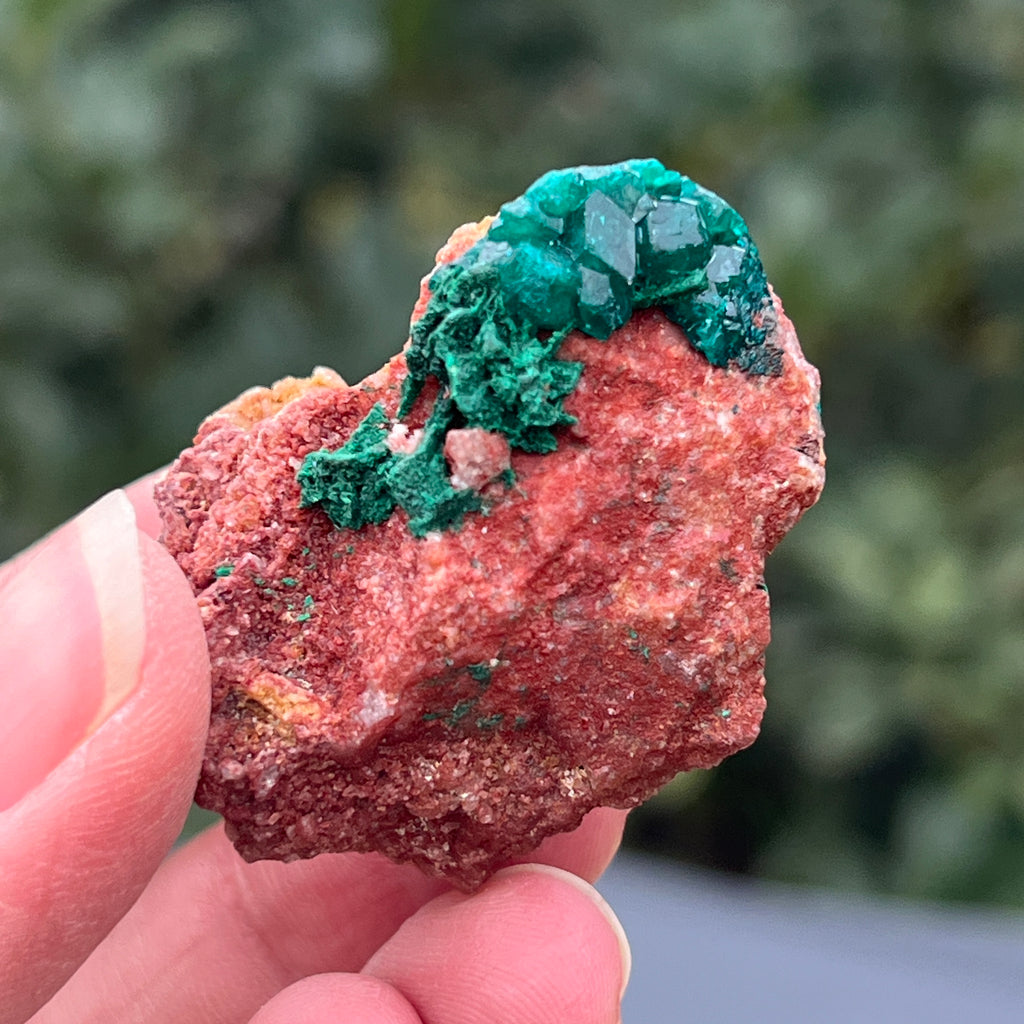 Dioptaz cluster din Congo model 27, pietre semipretioase - druzy.ro 1 