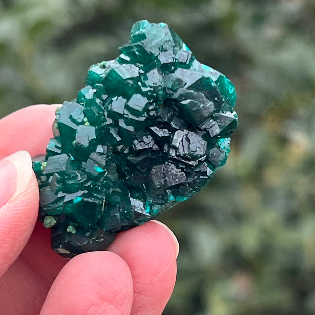 Dioptaz cluster din Congo model 18, pietre semipretioase - druzy.ro 2 