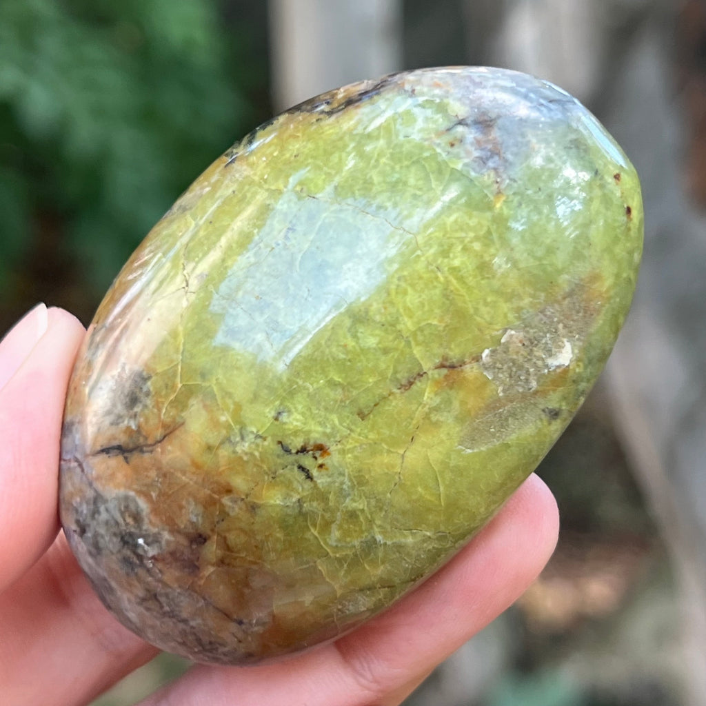 Opal verde palmstone m5, pietre semipretioase - druzy.ro 2 