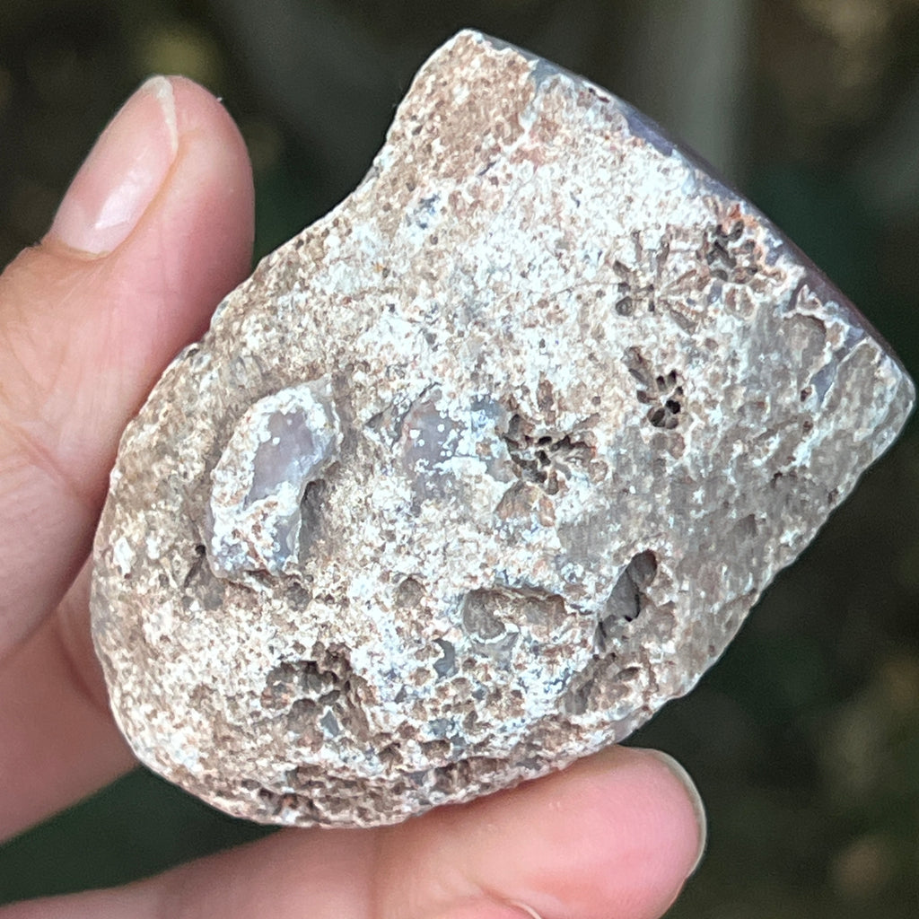 Agat de Botswana, nodul agat river model 13, pietre semipretioase - druzy.ro 7 