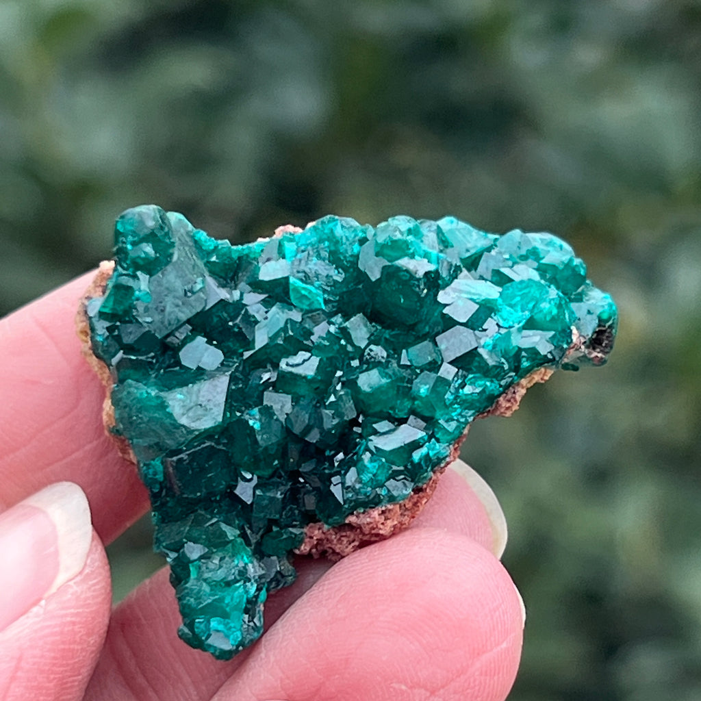 Dioptaz cluster din Congo model 19, pietre semipretioase - druzy.ro 4 