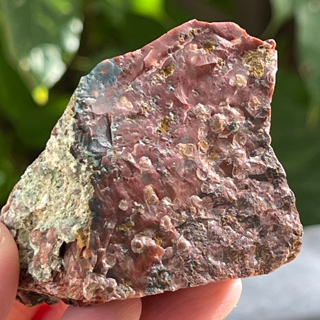 Sardonix India piatra bruta m15, pietre semipretioase - druzy.ro 3 