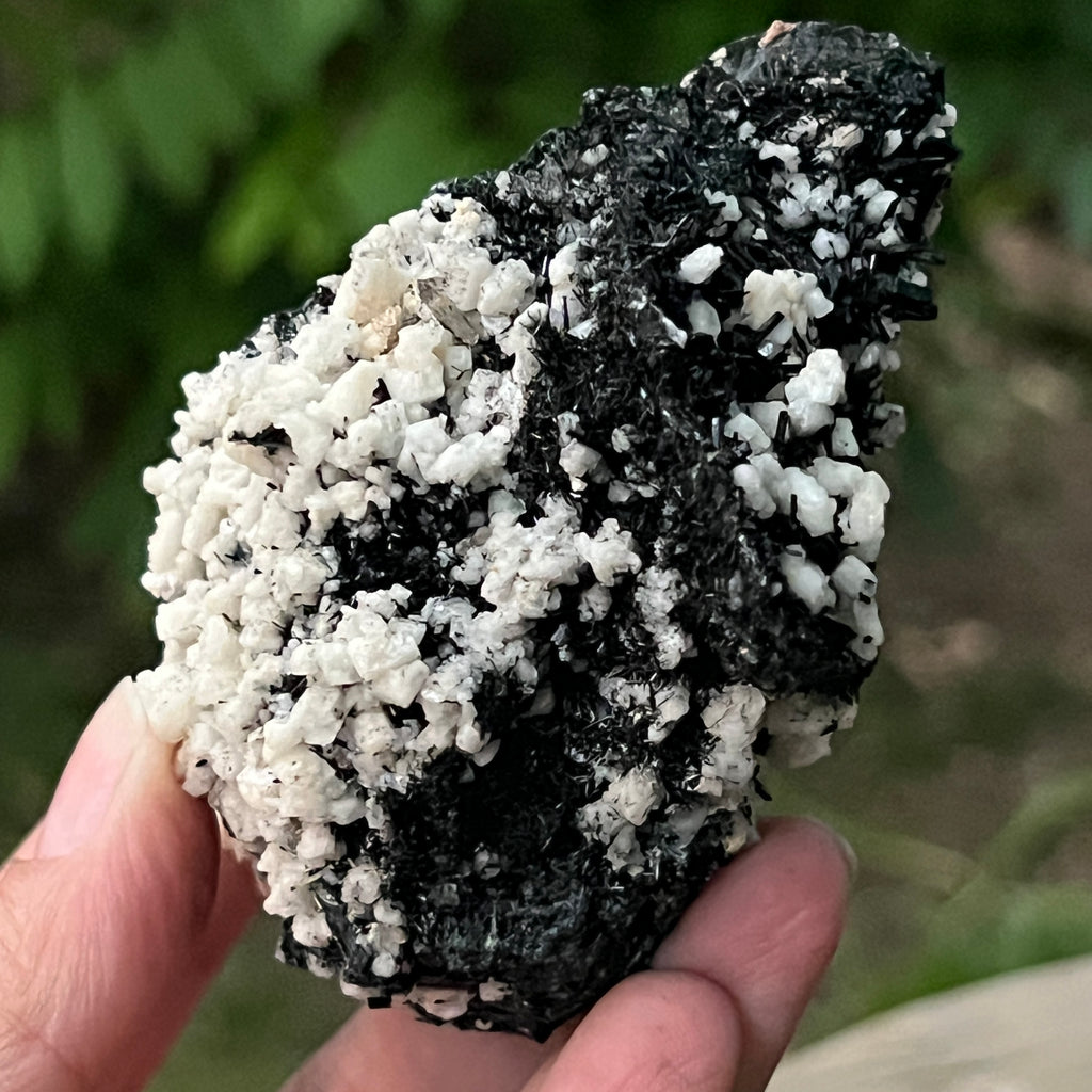 Cluster turmalina neagra model 7 din Erongo, Namibia, pietre semipretioase - druzy.ro 4 
