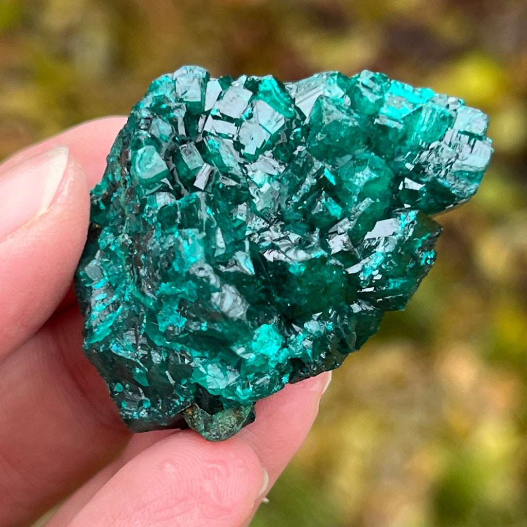 Dioptaz cluster din Congo model 5, pietre semipretioase - druzy.ro 5 