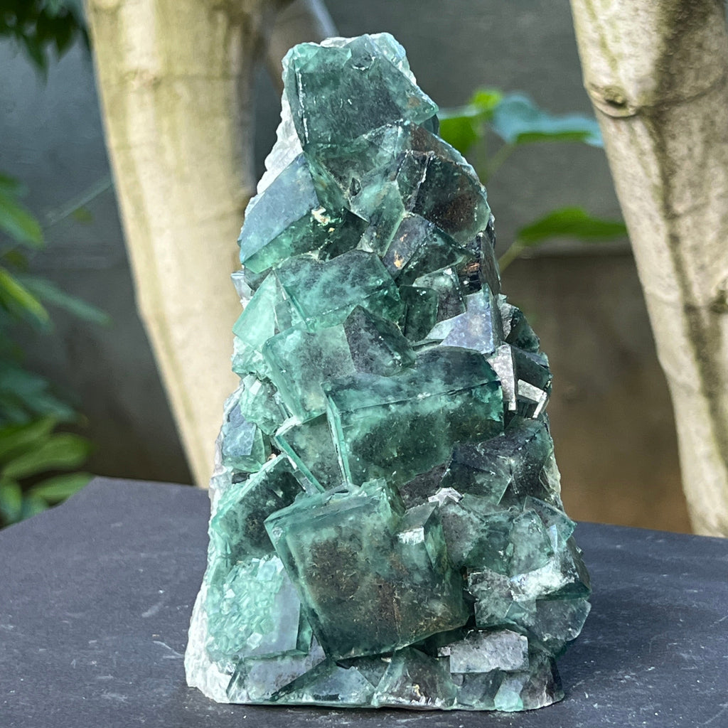 Specimen fluorit cubic model 1, pietre semipretioase - druzy.ro 1 