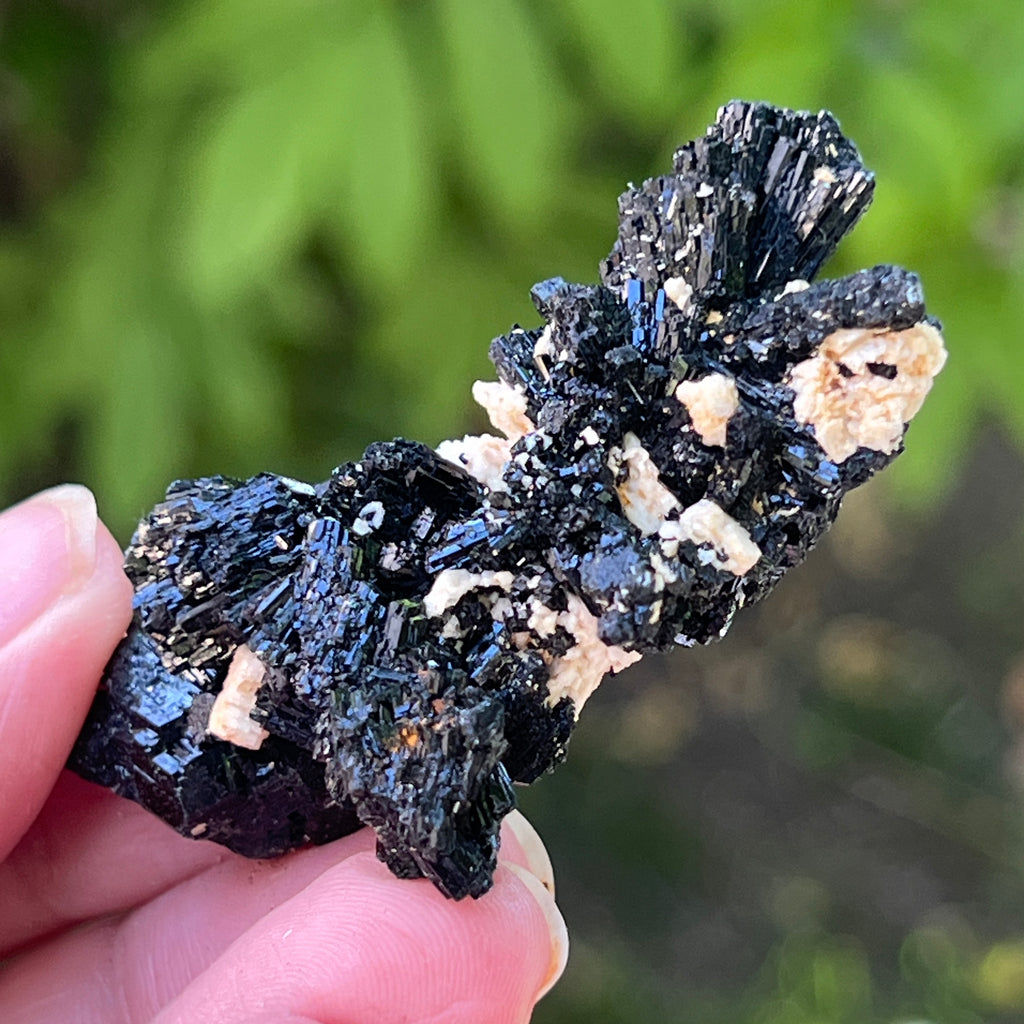 Cluster turmalina neagra model 20 din Erongo, Namibia, pietre semipretioase - druzy.ro 2 
