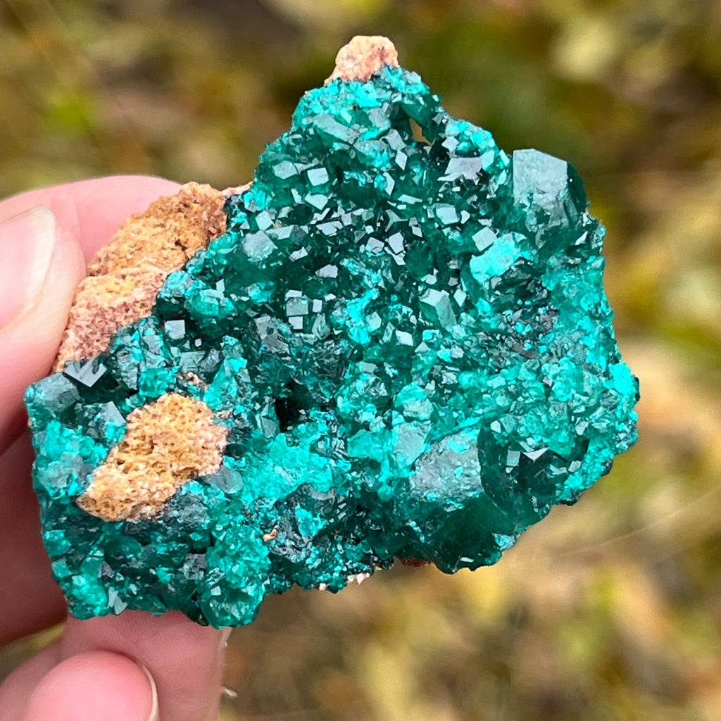 Dioptaz cluster din Congo model 3, pietre semipretioase - druzy.ro 2 