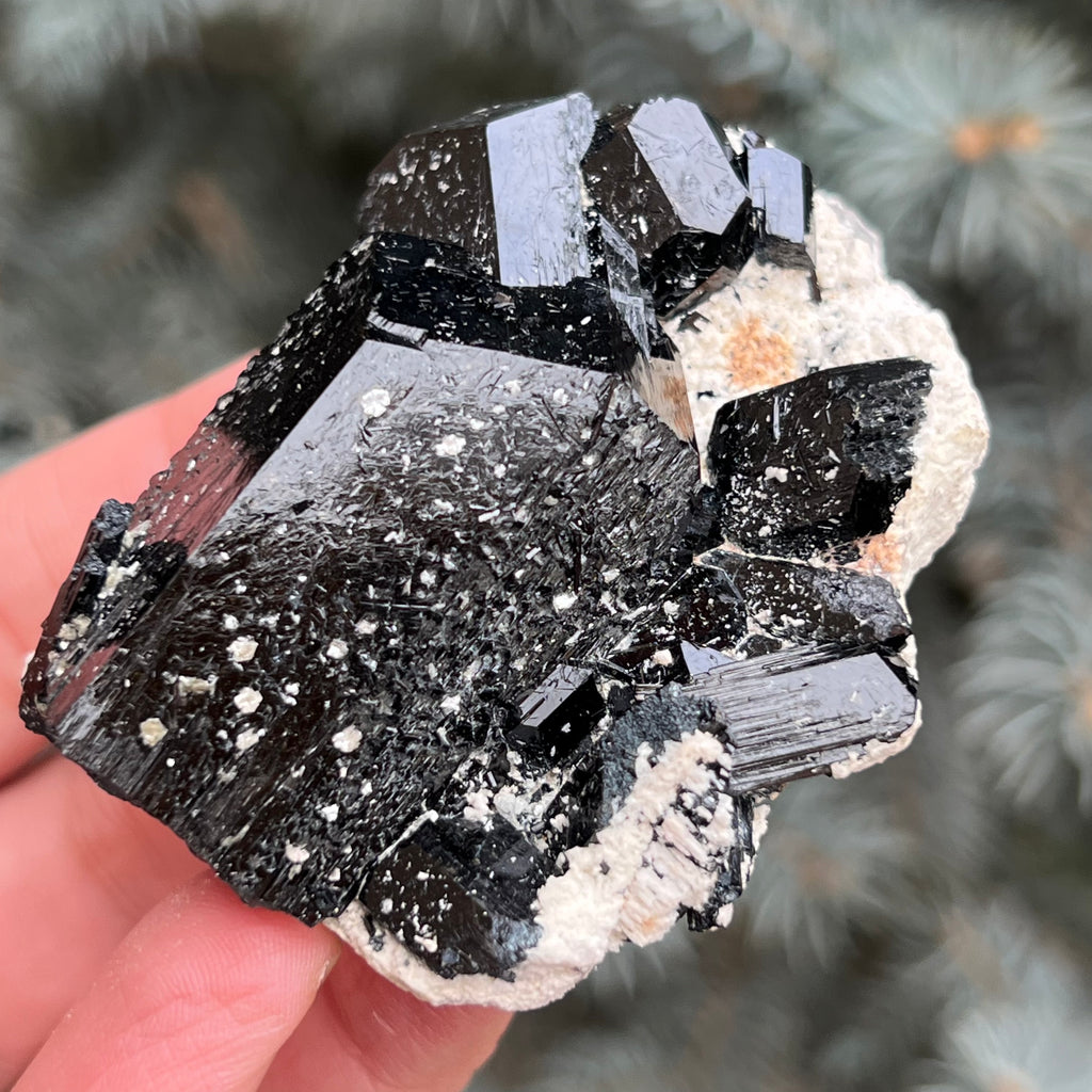 Cluster turmalina neagra model 1 din Erongo, Namibia, druzy.ro, cristale 1