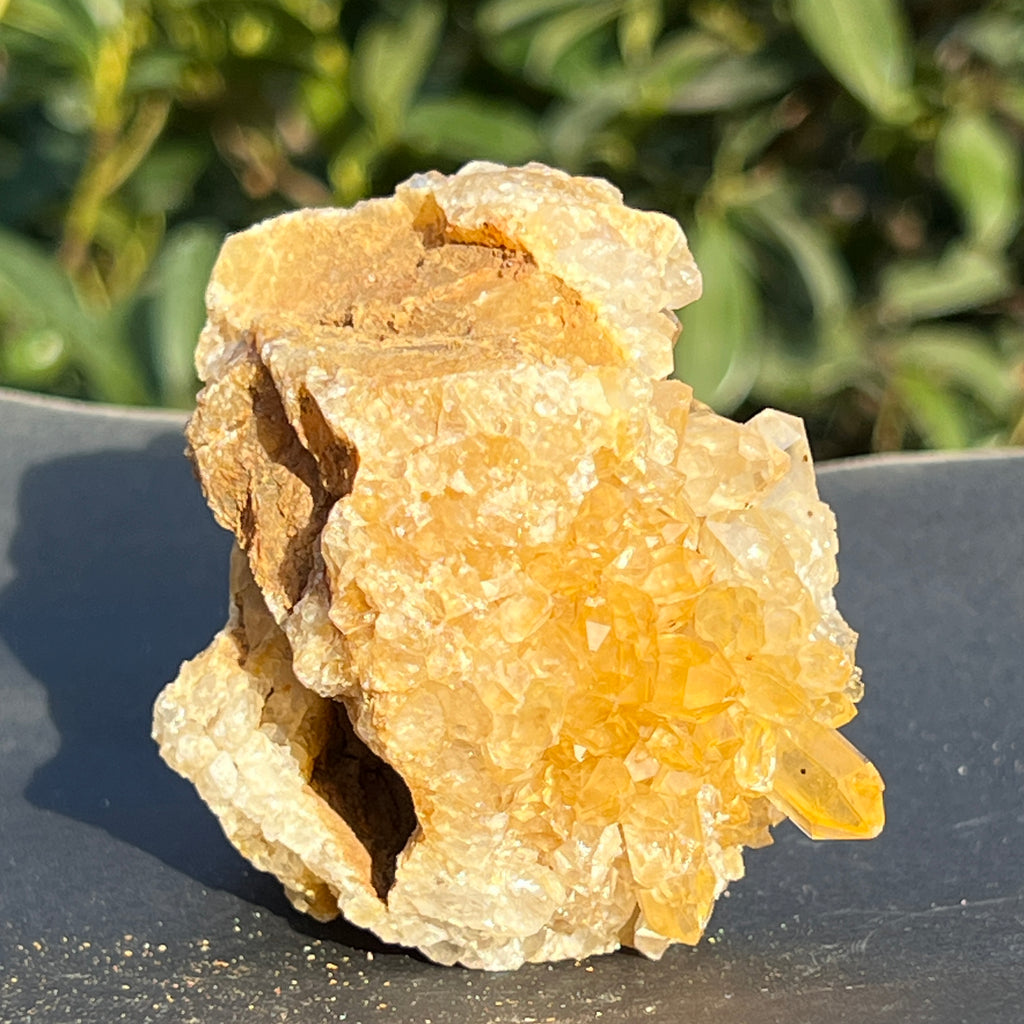 Cluster cuart lamaie Zambia, golden healer model 49, pietre semipretioase - druzy.ro 3 