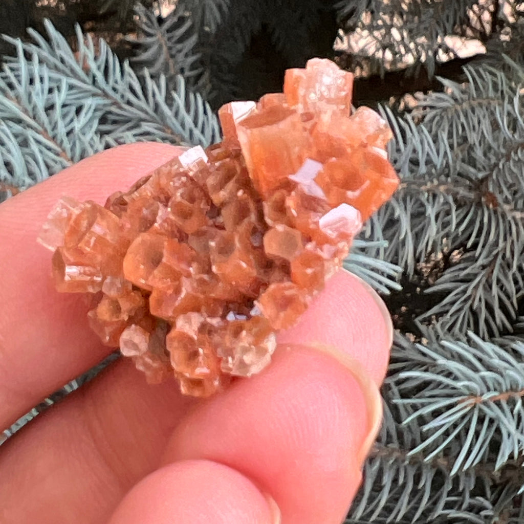 Cluster cristal aragonit din Maroc model 6, druzy.ro, pietre semipretioase 4