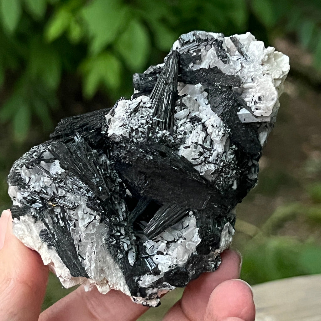 Cluster turmalina neagra model 9 din Erongo, Namibia, pietre semipretioase - druzy.ro 10 