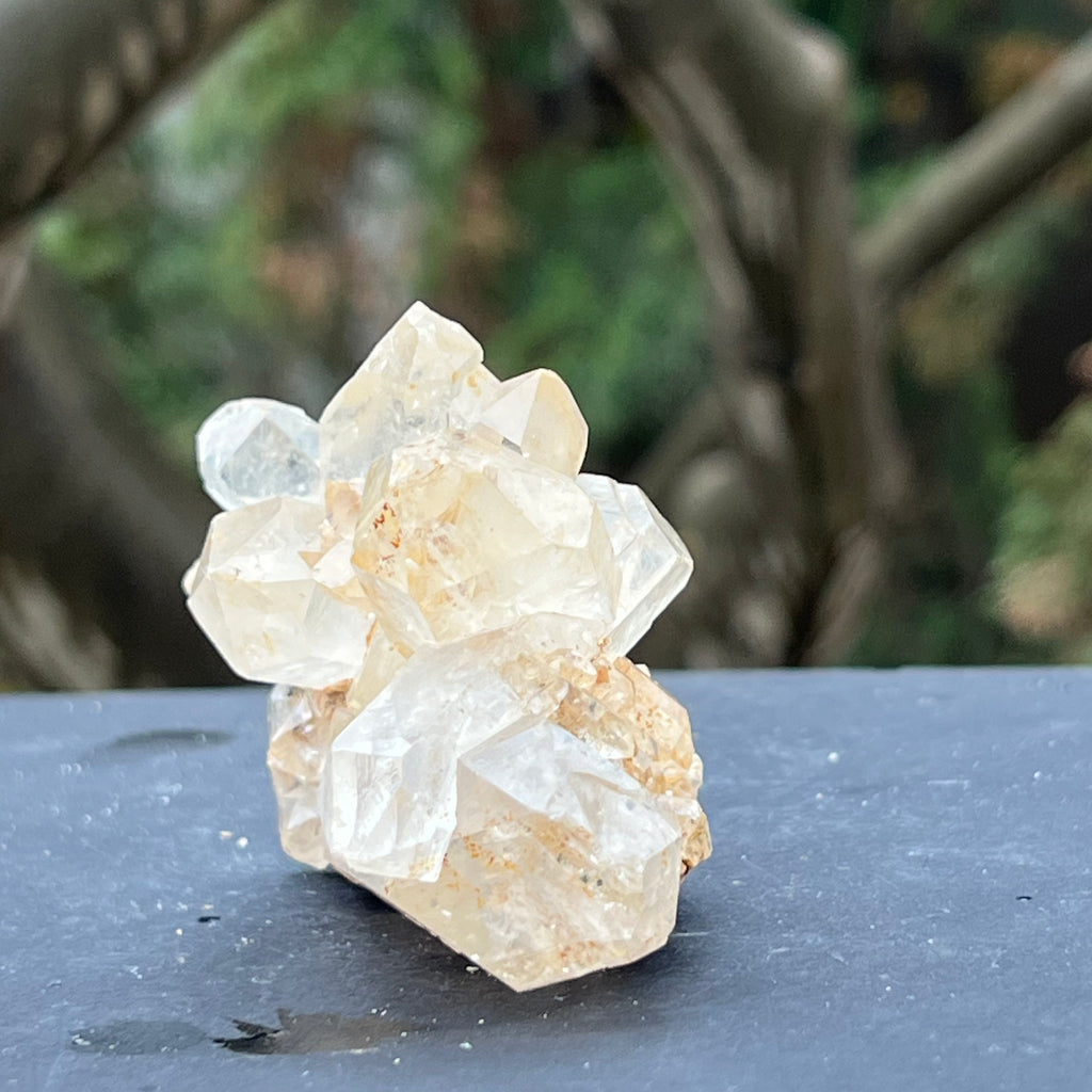Cluster cuart incolor, floare de mina, cristal de stanca Zimbabwe m1, druzy.ro, cristale 2